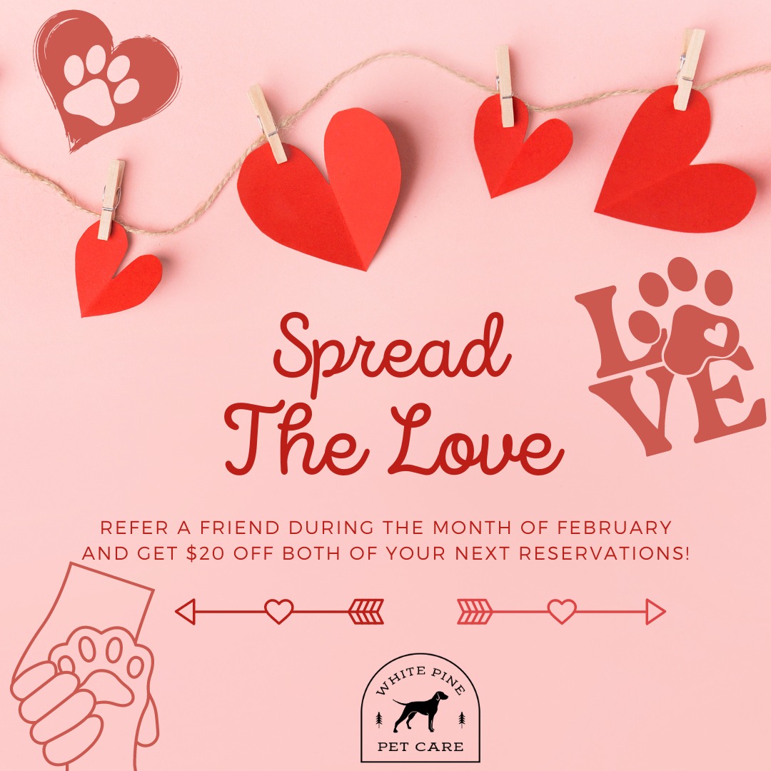 Spread the Love: February 2024 Referral Special! - White Pine Pet Care